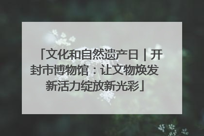 文化和自然遗产日｜开封市博物馆：让文物焕发新活力绽放新光彩