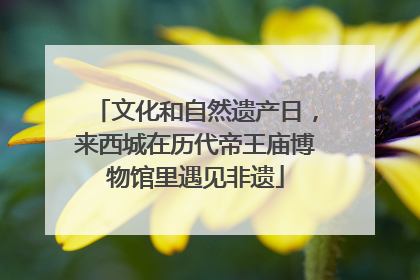 文化和自然遗产日，来西城在历代帝王庙博物馆里遇见非遗
