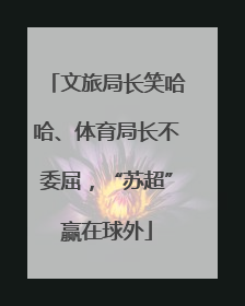 文旅局长笑哈哈、体育局长不委屈，“苏超”赢在球外