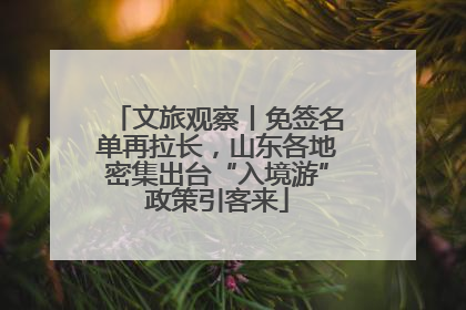 文旅观察丨免签名单再拉长，山东各地密集出台“入境游”政策引客来