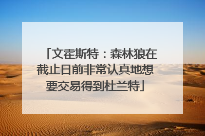文霍斯特：森林狼在截止日前非常认真地想要交易得到杜兰特