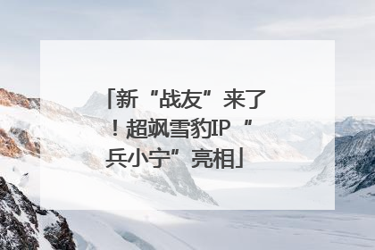 新“战友”来了！超飒雪豹IP“兵小宁”亮相