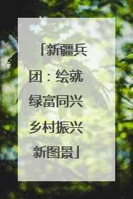 新疆兵团：绘就绿富同兴乡村振兴新图景