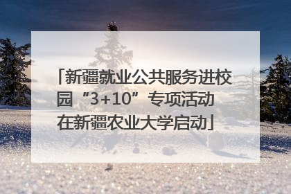 新疆就业公共服务进校园“3+10”专项活动在新疆农业大学启动