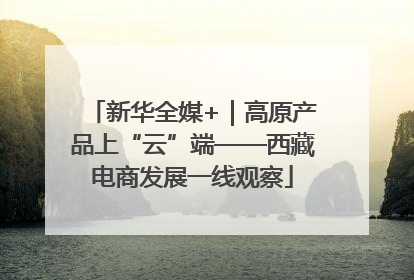 新华全媒+｜高原产品上“云”端——西藏电商发展一线观察