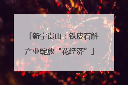 新宁崀山：铁皮石斛产业绽放“花经济”