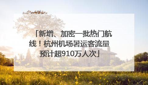 新增、加密一批热门航线！杭州机场暑运客流量预计超910万人次