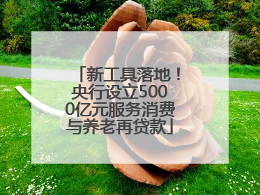 新工具落地！央行设立5000亿元服务消费与养老再贷款