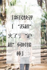 新民快评丨“苏超”火了，“沪超”何时接棒