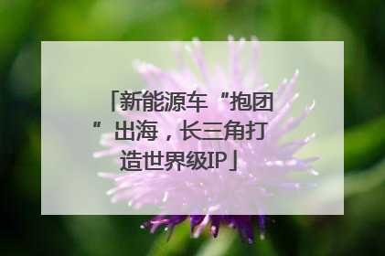 新能源车“抱团”出海，长三角打造世界级IP