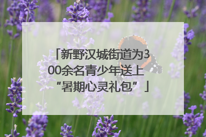 新野汉城街道为300余名青少年送上“暑期心灵礼包”