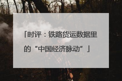 时评：铁路货运数据里的“中国经济脉动”