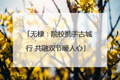 无棣：院校携手古城行 共融双节暖人心