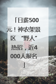 日薪500元！神农架景区 “野人” 热招，近4000人报名