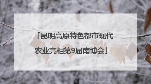 昆明高原特色都市现代农业亮相第9届南博会