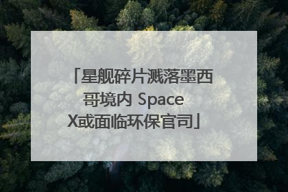 星舰碎片溅落墨西哥境内 SpaceX或面临环保官司