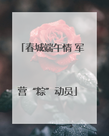 春城端午情 军营“粽”动员