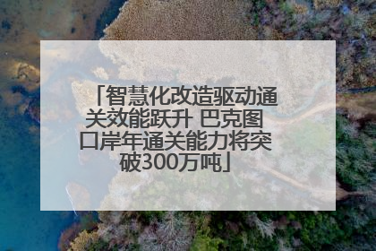 智慧化改造驱动通关效能跃升 巴克图口岸年通关能力将突破300万吨
