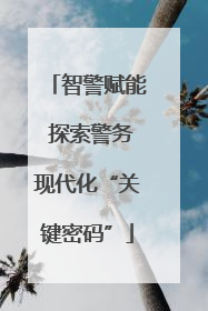 智警赋能 探索警务现代化“关键密码”