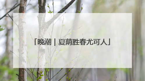 晚潮｜夏荫胜春尤可人