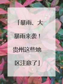 暴雨、大暴雨来袭！贵州这些地区注意了