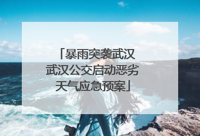 暴雨突袭武汉 武汉公交启动恶劣天气应急预案
