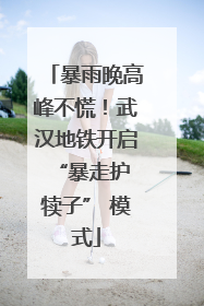 暴雨晚高峰不慌！武汉地铁开启 “暴走护犊子” 模式