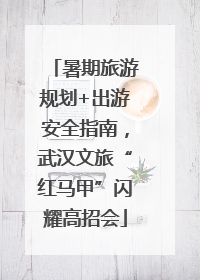 暑期旅游规划+出游安全指南，武汉文旅“红马甲”闪耀高招会