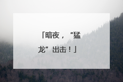 暗夜，“猛龙”出击！
