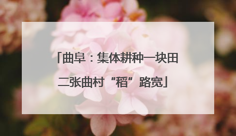 曲阜：集体耕种一块田 二张曲村“稻”路宽