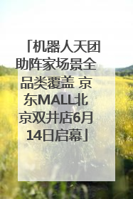机器人天团助阵家场景全品类覆盖 京东MALL北京双井店6月14日启幕