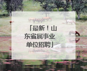 最新！山东省属事业单位招聘
