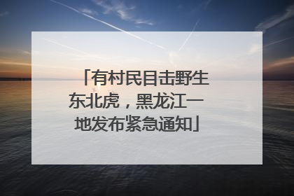 有村民目击野生东北虎，黑龙江一地发布紧急通知