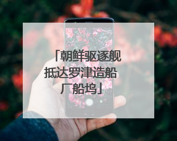 朝鲜驱逐舰抵达罗津造船厂船坞
