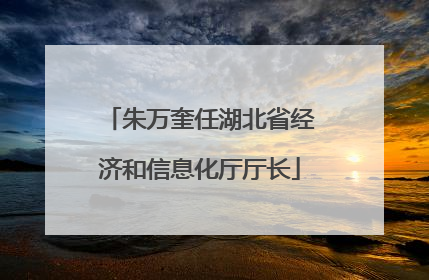 朱万奎任湖北省经济和信息化厅厅长