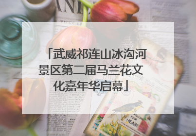 武威祁连山冰沟河景区第二届马兰花文化嘉年华启幕