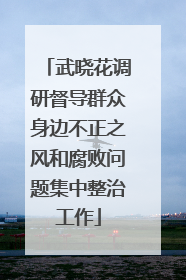武晓花调研督导群众身边不正之风和腐败问题集中整治工作