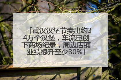 武汉汉堡节卖出约34万个汉堡，车流量创下商场纪录，周边店铺业绩提升至少30%
