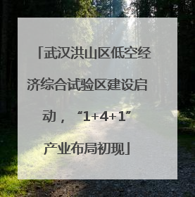 武汉洪山区低空经济综合试验区建设启动，“1+4+1”产业布局初现
