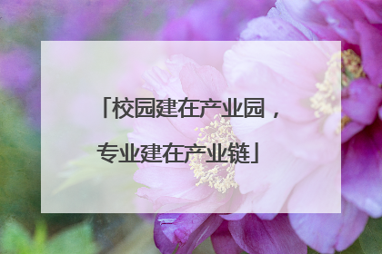 校园建在产业园，专业建在产业链