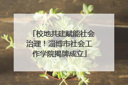 校地共建赋能社会治理！淄博市社会工作学院揭牌成立