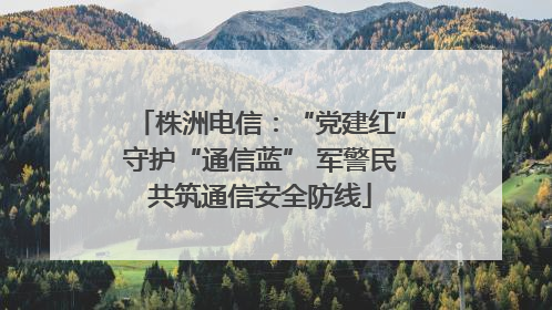 株洲电信：“党建红”守护“通信蓝” 军警民共筑通信安全防线
