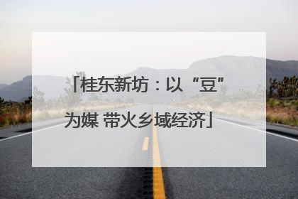 桂东新坊：以“豆”为媒 带火乡域经济