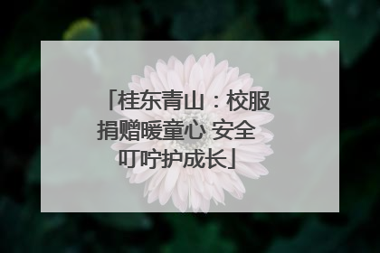 桂东青山：校服捐赠暖童心 安全叮咛护成长