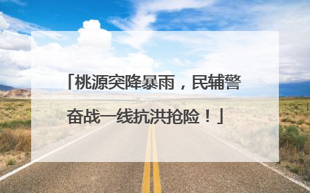 桃源突降暴雨，民辅警奋战一线抗洪抢险！