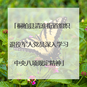 桐柏县清淮街道组织退役军人党员深入学习中央八项规定精神