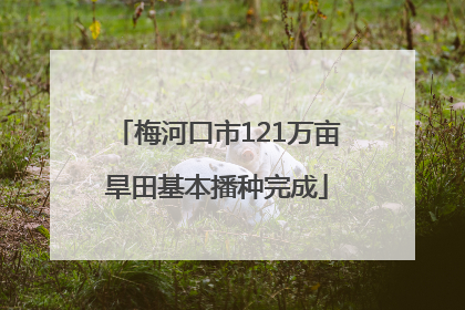 梅河口市121万亩旱田基本播种完成