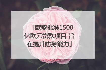 欧盟批准1500亿欧元贷款项目 旨在提升防务能力