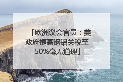 欧洲议会官员：美政府提高钢铝关税至50%毫无道理