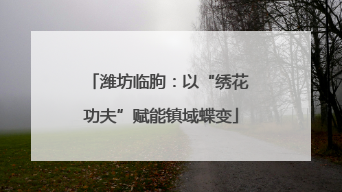潍坊临朐：以“绣花功夫”赋能镇域蝶变